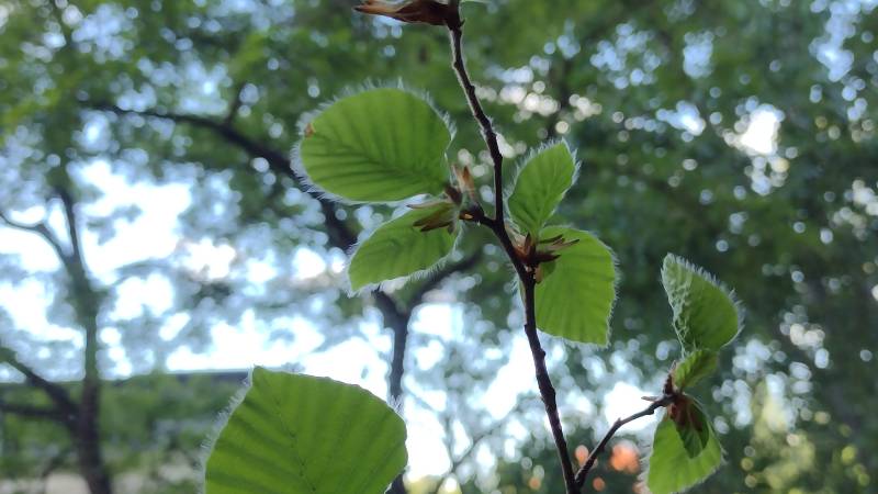 fotowettbewerb_platz3_hilgenberg_anastasia.jpg fotowettbewerb_platz3_hilgenberg_anastasia.jpg